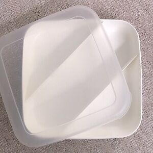 Vintage Eagle Craftstor Craftstorables Divided Tray Craft Storage Organizer